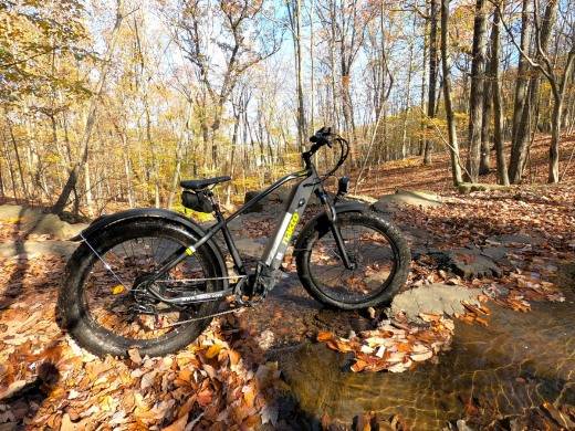 Should I Buy an Electric Mountain Bike?