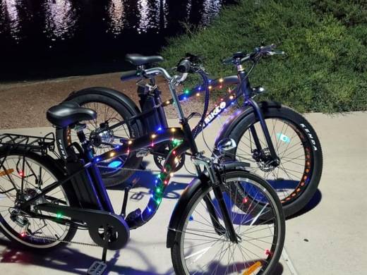 Top 5 Electric Bike Brands in 2024 Top 5 Electric Bike Brands in 2024