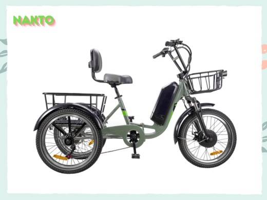 What Is the Best 3-wheel Electric Bike for Adults?