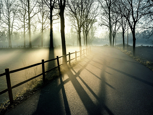 13 Best Winter Biking Trails