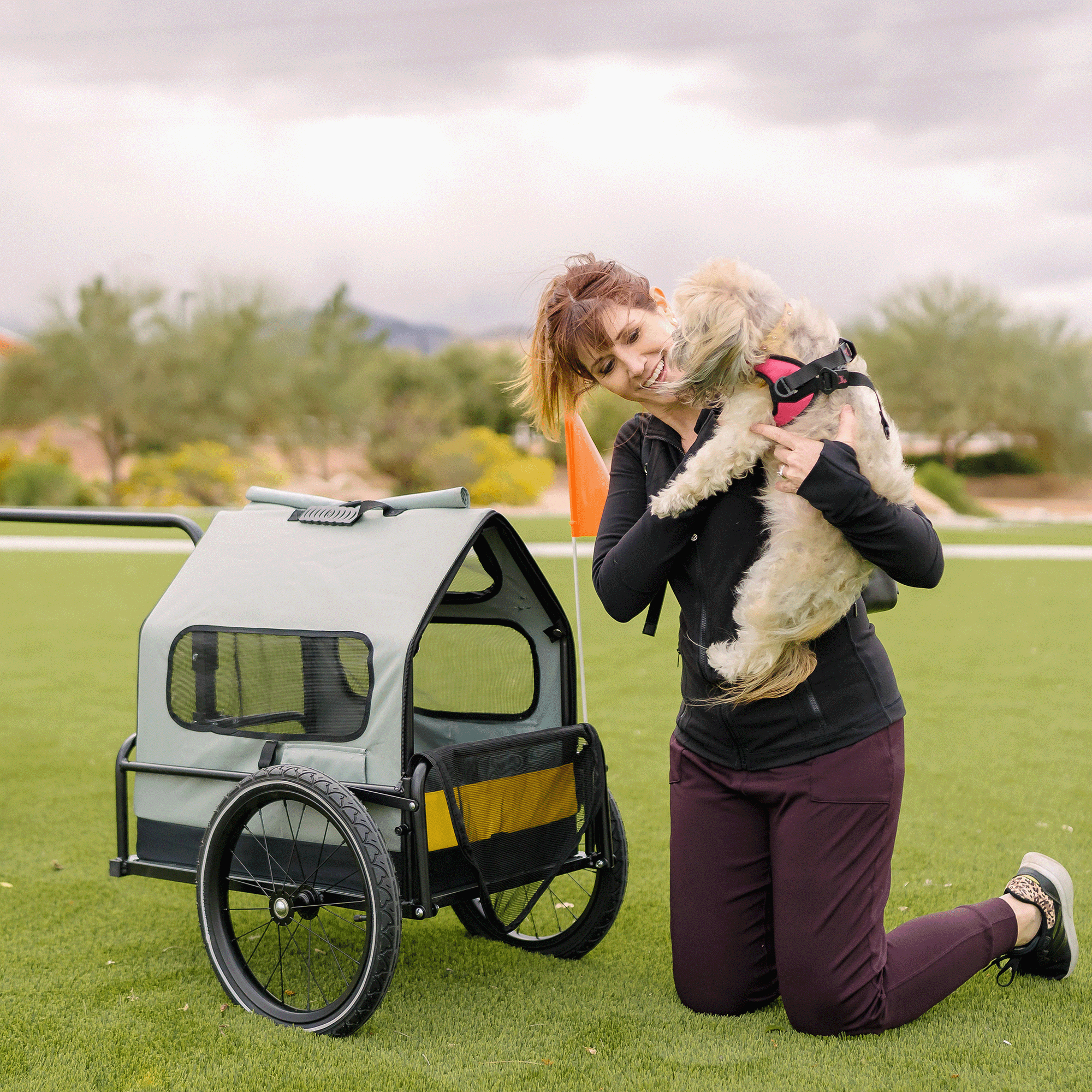 Pet Bike Trailer