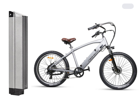 Ebike battery replacement for Santa Monica