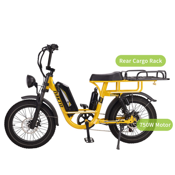 electric cargo bike for sale