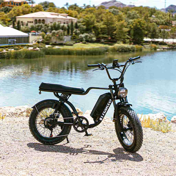 nakto 20 inch electric bike